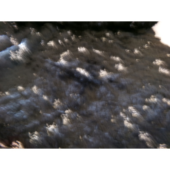 102_0071_969172147